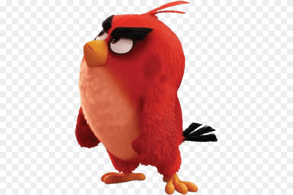 Angry Birds Images Red Wallpaper And Background Photos Angry Birds Film Red, Animal, Beak, Bird Free Png