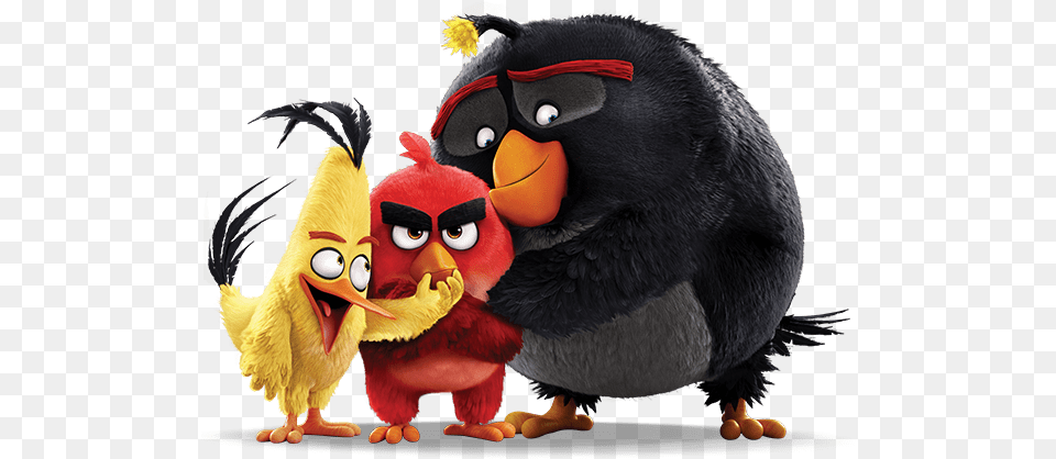 Angry Birds Movie, Animal, Bird, Teddy Bear, Toy Free Transparent Png