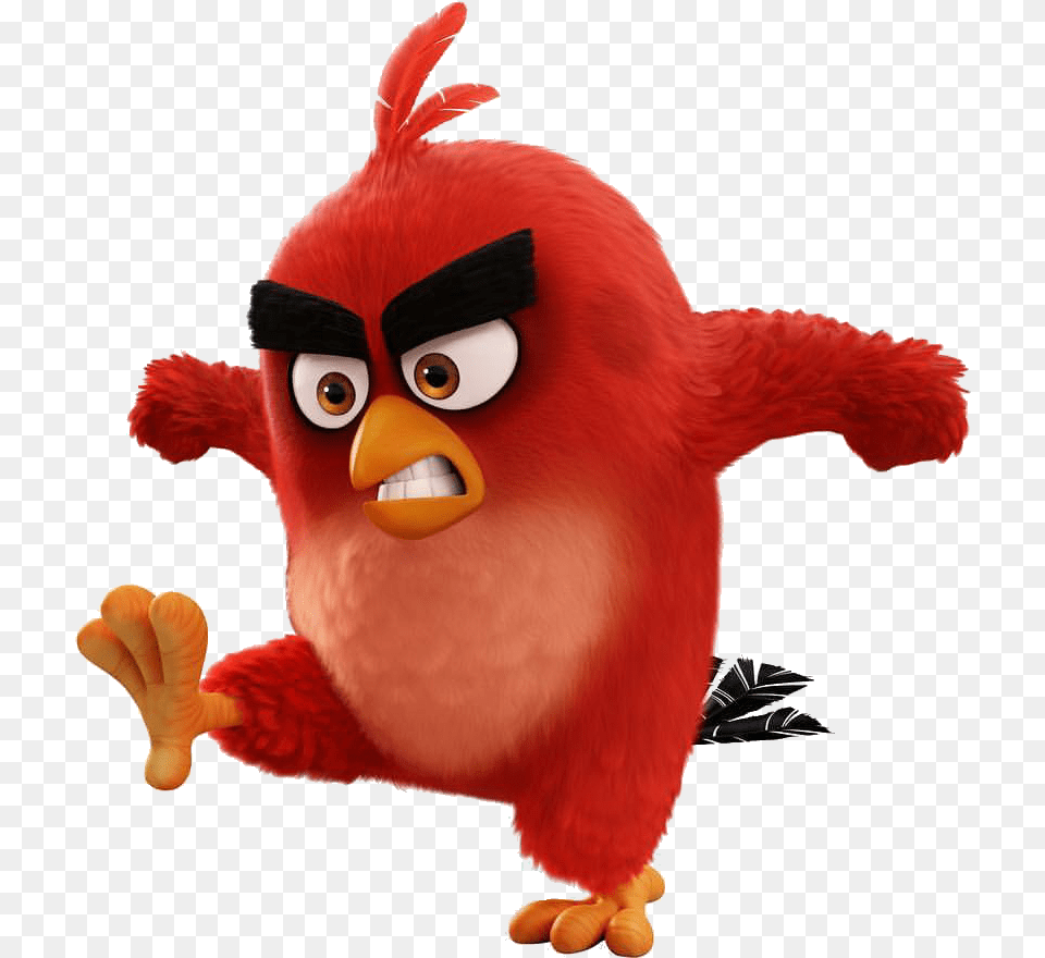 Angry Birds Movie Red 3 Angry Bird Red Angry, Animal, Beak Free Transparent Png