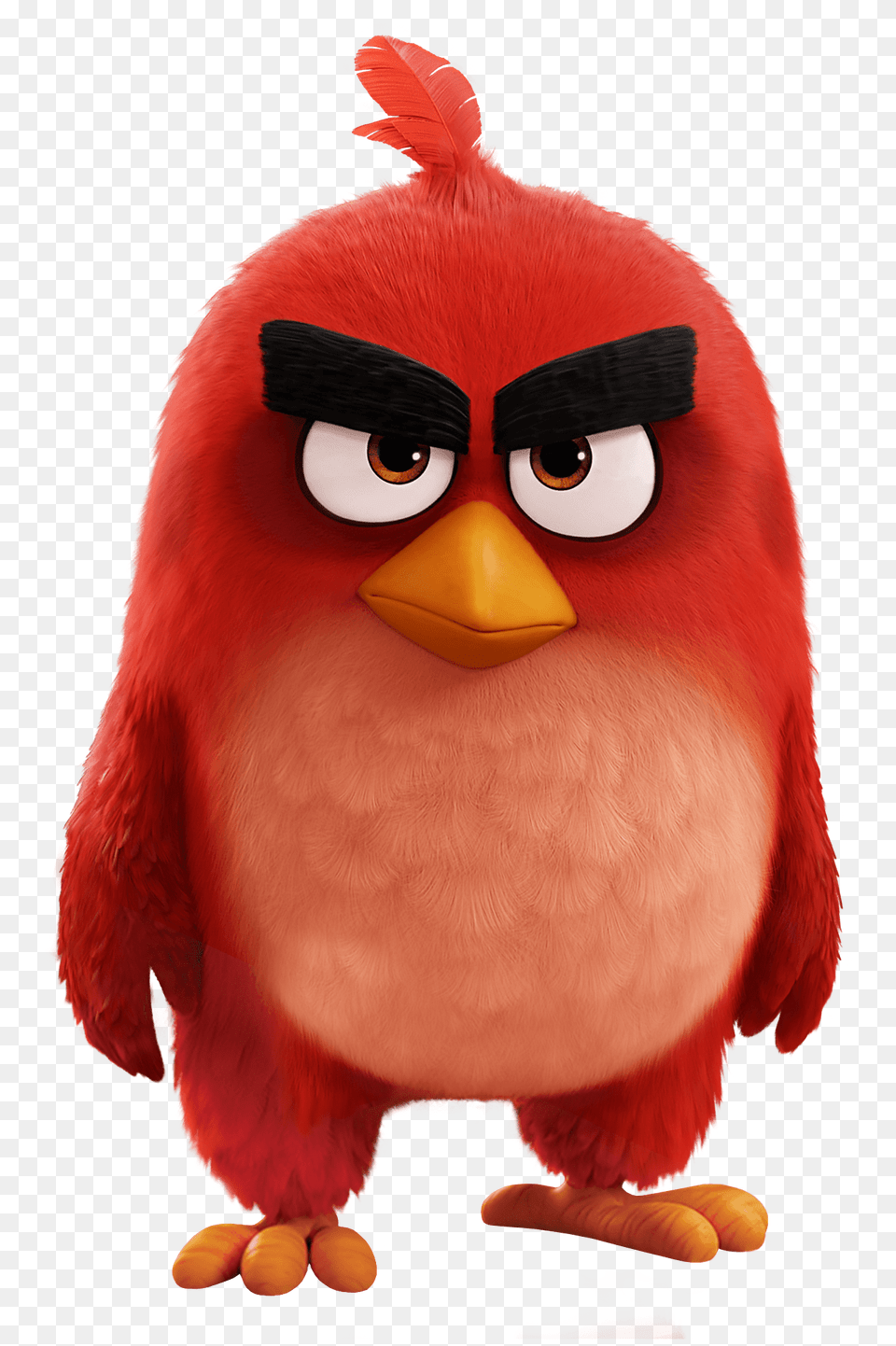 Angry Birds Movie Red Bird, Animal, Cartoon Free Png Download