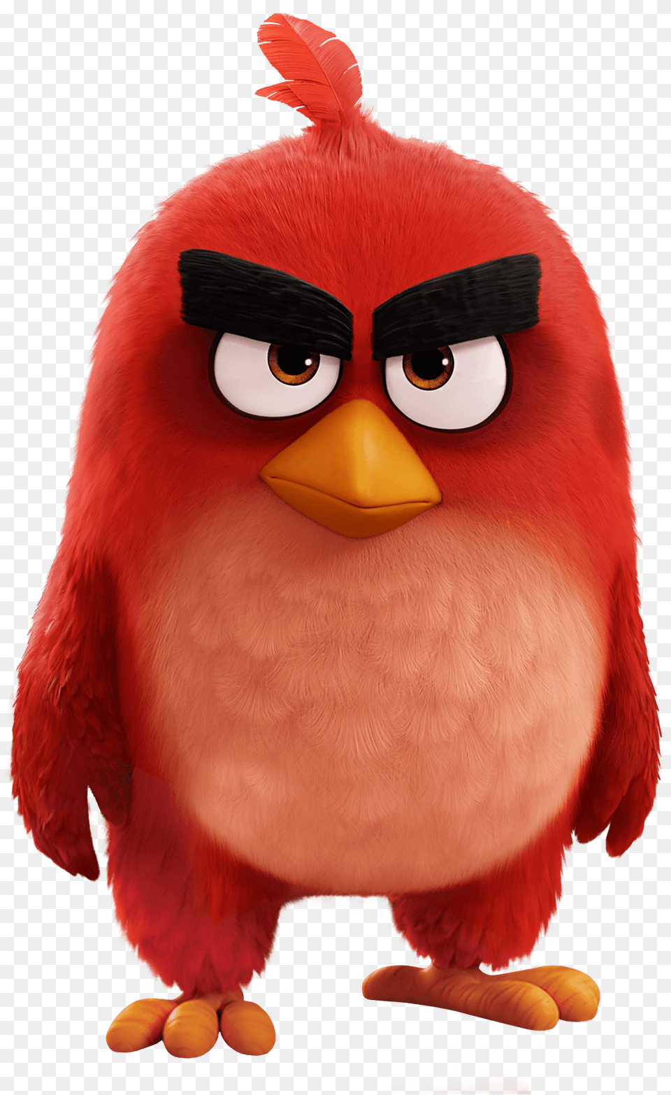 Angry Birds Movie Red Bird Red From Angry Birds, Animal, Beak Free Transparent Png