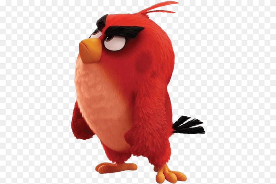 Angry Birds Red Angry Birds Film Red Red Angry Birds Movie, Animal, Beak, Bird Free Transparent Png
