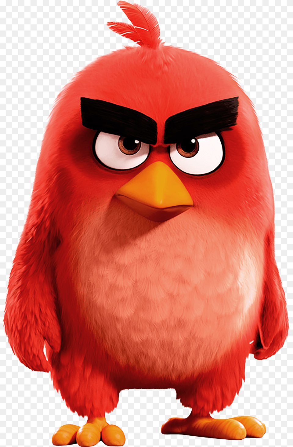 Angry Birds Red Hd Mobile Wallpapers Wallpaper Cave Angry Birds Red, Animal, Beak, Bird Free Png