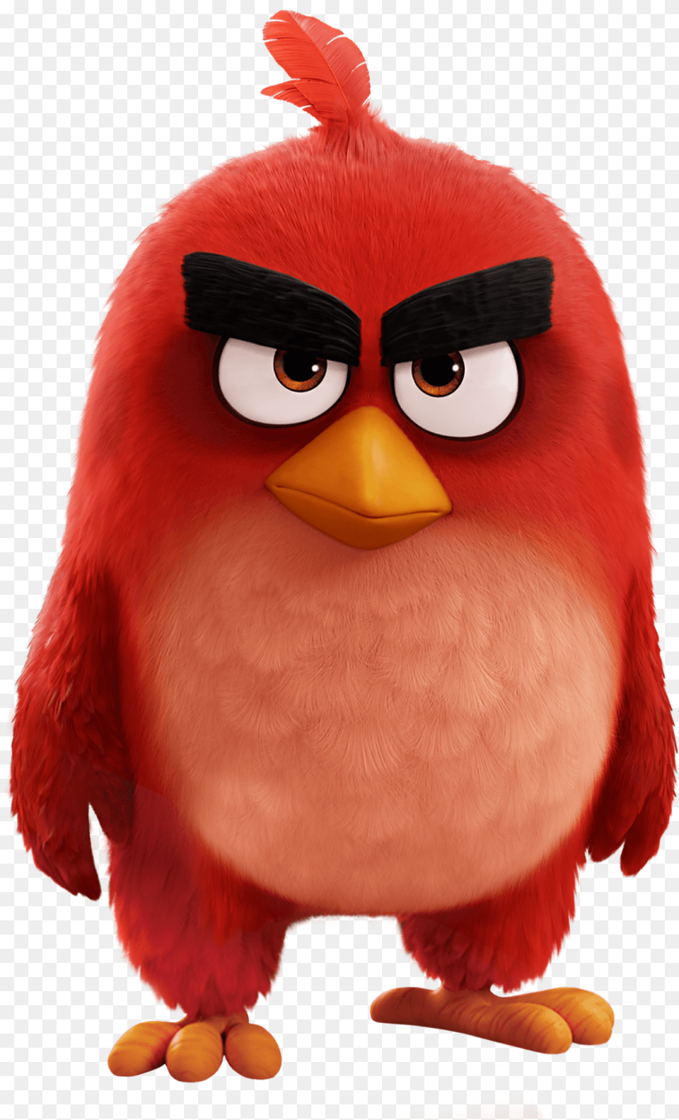 Angry Birds Red Transparent Red Angry Birds Movie, Animal, Bird, Beak Free Png