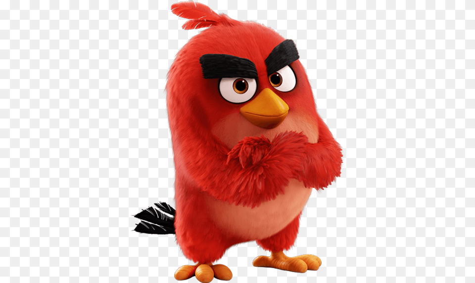 Angry Birds Red Transparent Red Angry Birds Movie, Animal, Bird Png