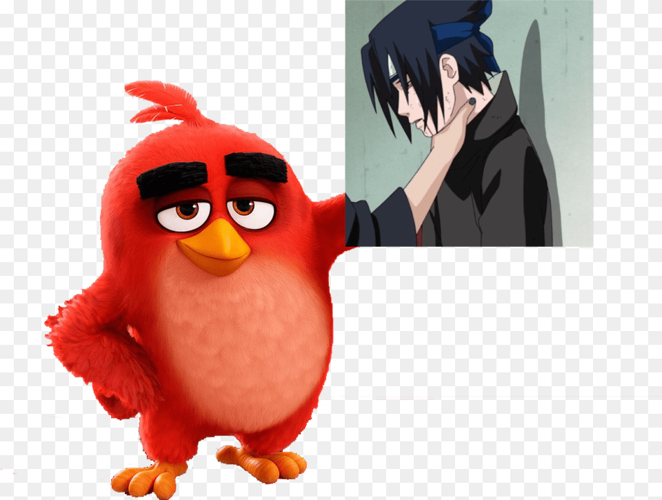 Angry Birds Red Vertebrate Cartoon Flightless Bird, Adult, Female, Person, Woman Png Image