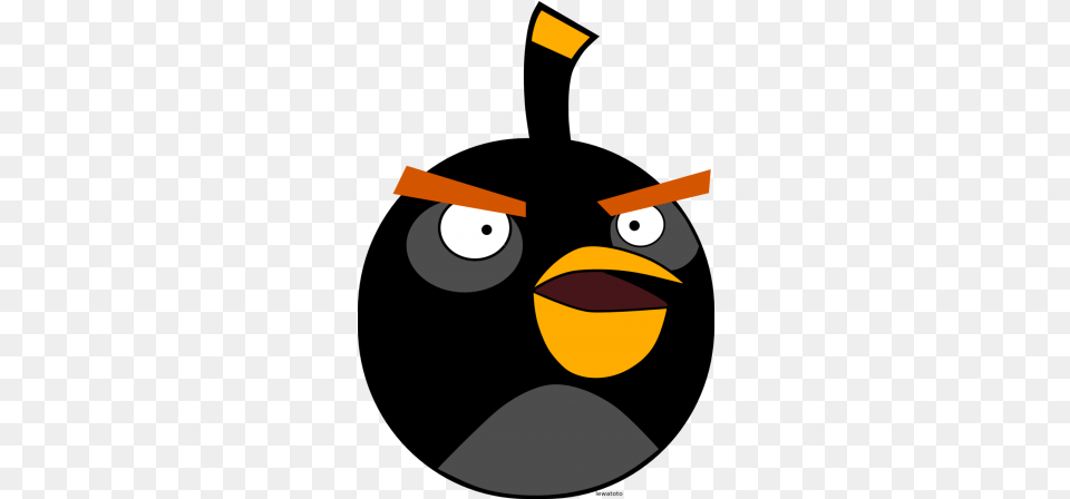 Angry Birds Transparent Background Black Bird From Angry Birds, Nature, Outdoors, Snow, Snowman Free Png Download