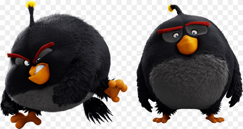 Angry Birds Wiki Angry Birds Black Bomb Png Image