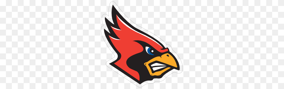 Angry Cardinal Head Mascot Sticker, Animal, Beak, Bird, Fish Free Transparent Png