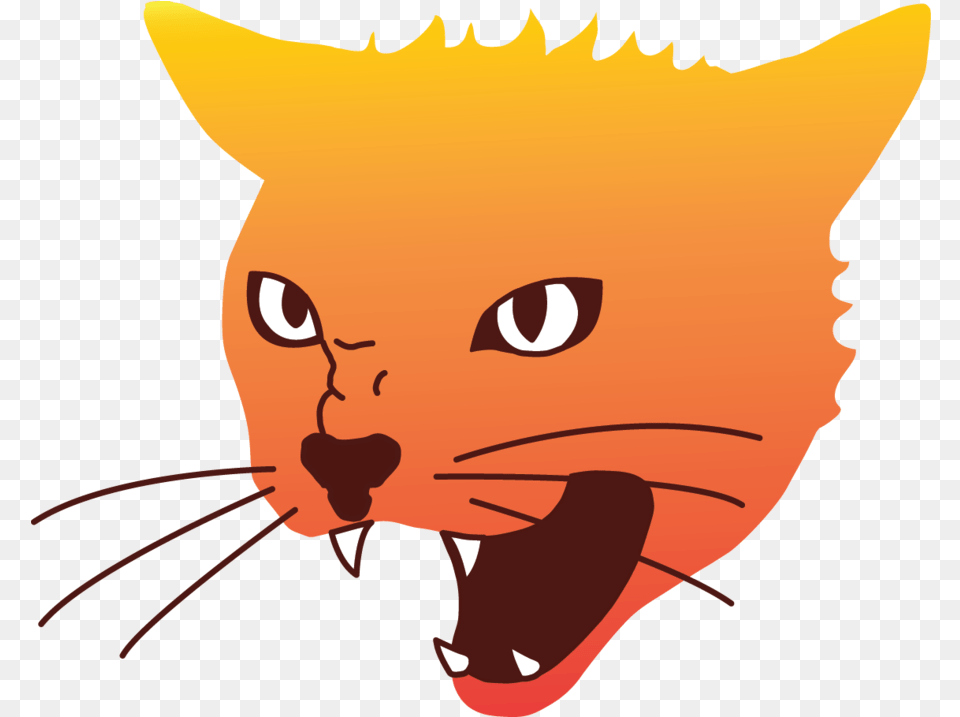 Angry Cat Image Angry Cat Clipart, Baby, Person, Animal, Mammal Free Png
