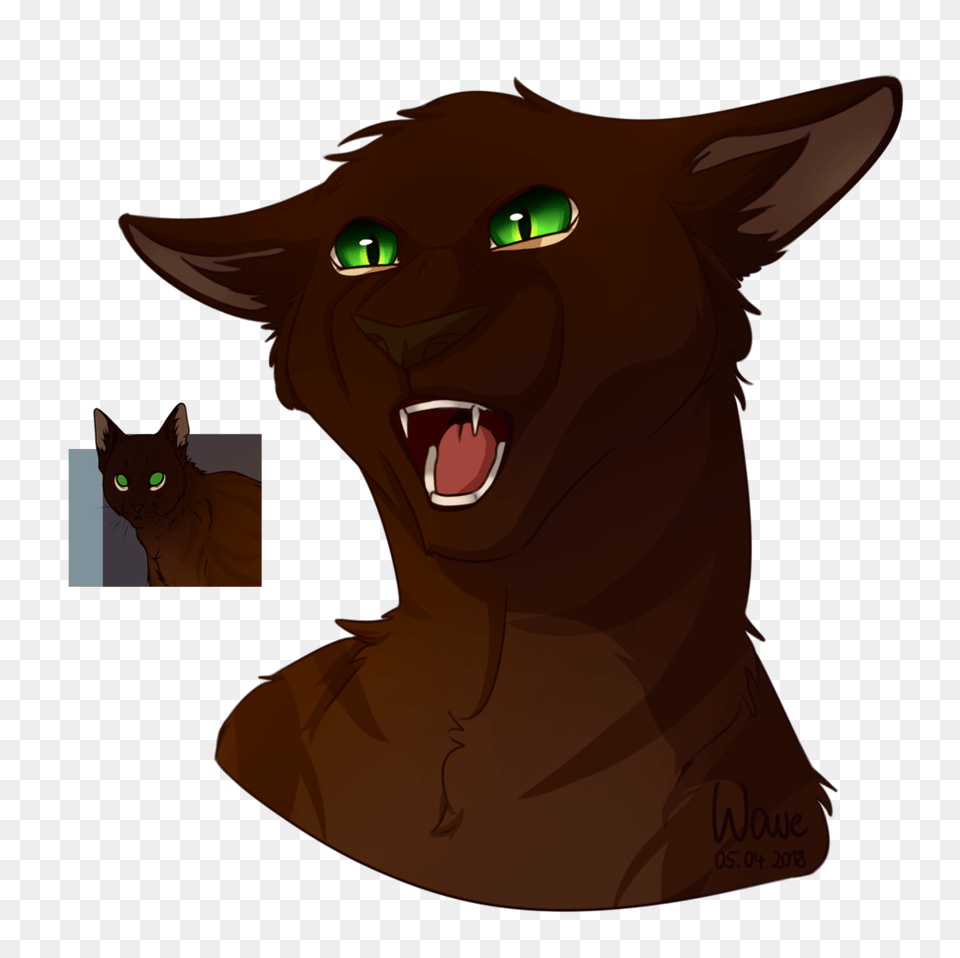 Angry Cat Is Angry, Animal, Mammal, Pet, Face Png