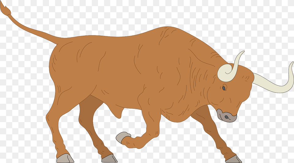 Angry Charge Bull Oxen Clipart, Animal, Ox, Mammal, Livestock Png Image
