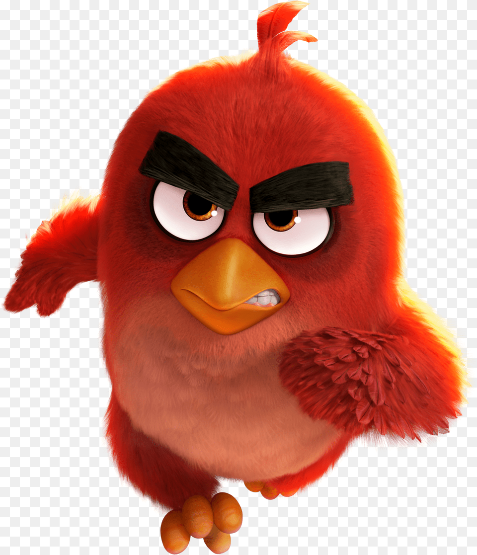 Angry Clipart Red Angry Bird Free Transparent Png