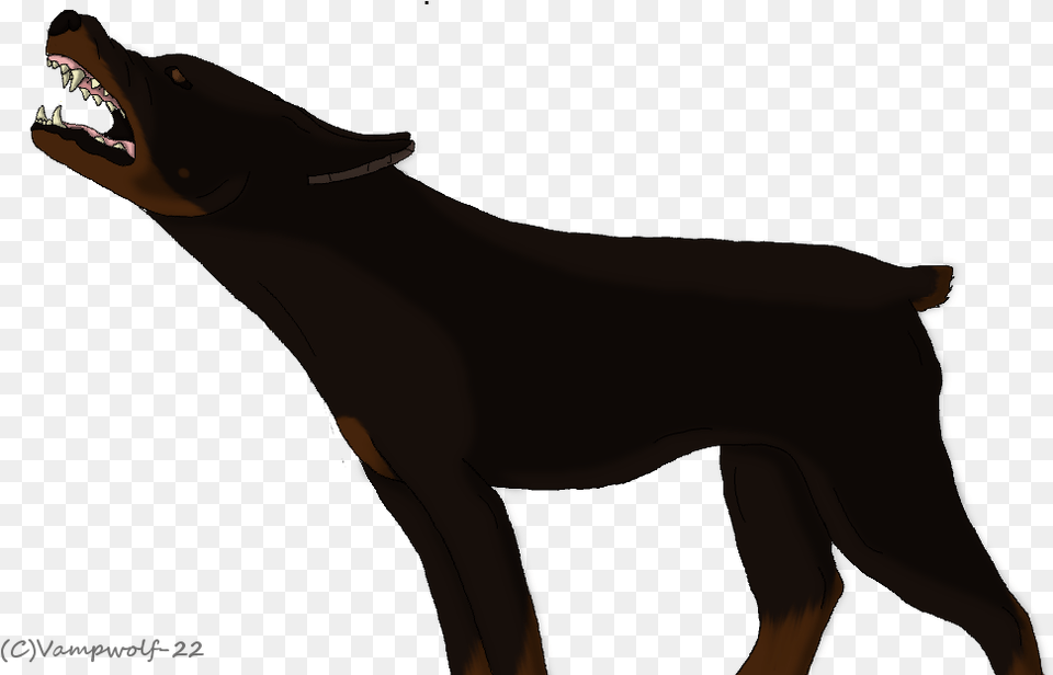 Angry Doberman By Vampwolf 22, Person, Animal Free Transparent Png