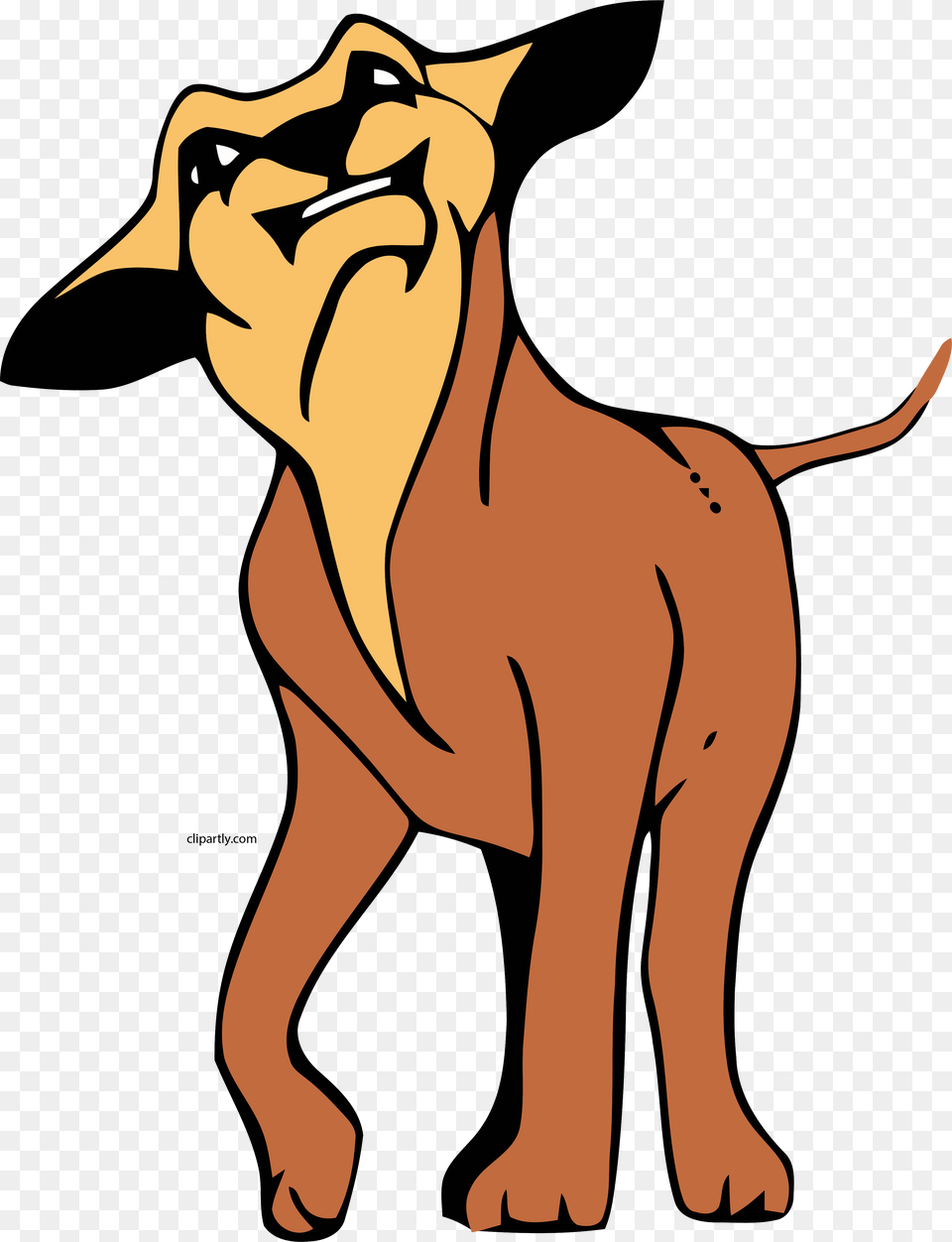 Angry Dog, Animal, Kangaroo, Mammal Png