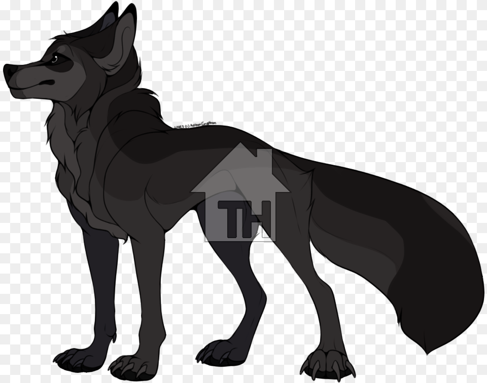 Angry Dog, Animal, Mammal, Wolf, Coyote Png Image