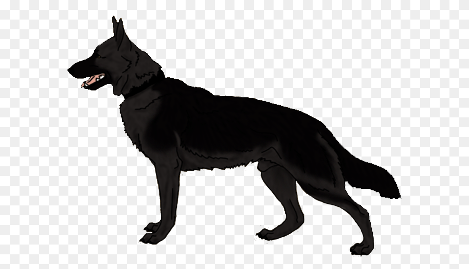 Angry Dog Hd Transparent Angry Dog Hd Images, Animal, Canine, Mammal, Pet Free Png