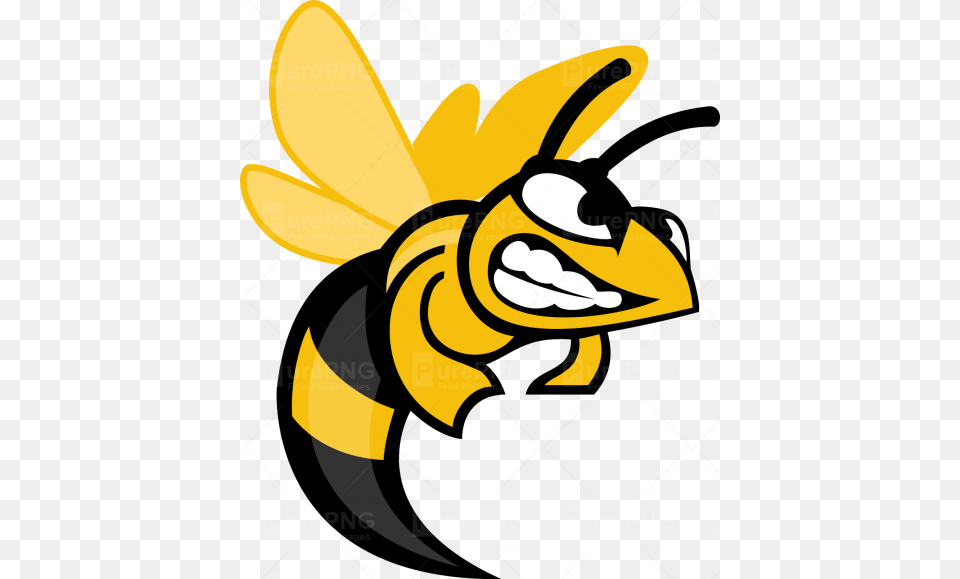 Angry Hornet Cartoon Clipart Angry Bee Clipart, Animal, Wasp, Honey Bee, Insect Free Png Download