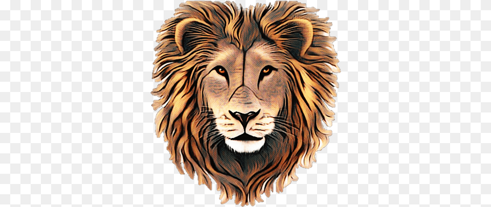 Angry Lion Lion Roar Sticker By Kat The Cat Lion Roaring Lion Head, Animal, Mammal, Wildlife, Tiger Free Png