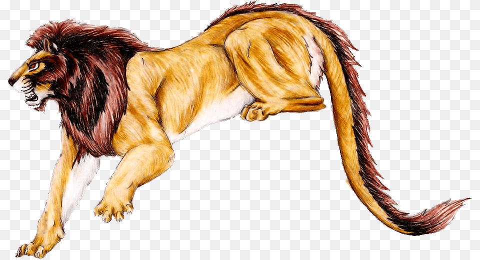 Angry Lion Nemean Lion Transparent Cartoon Jingfm Nemean Lion Greek Mythology, Animal, Mammal, Wildlife, Canine Free Png