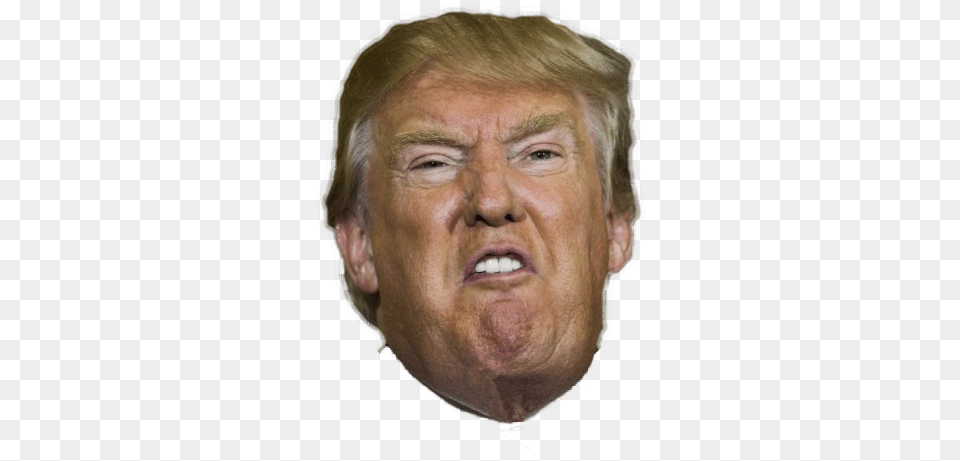 Angry Or Crying Both Donald Trump Head Cutout, Adult, Face, Male, Man Png