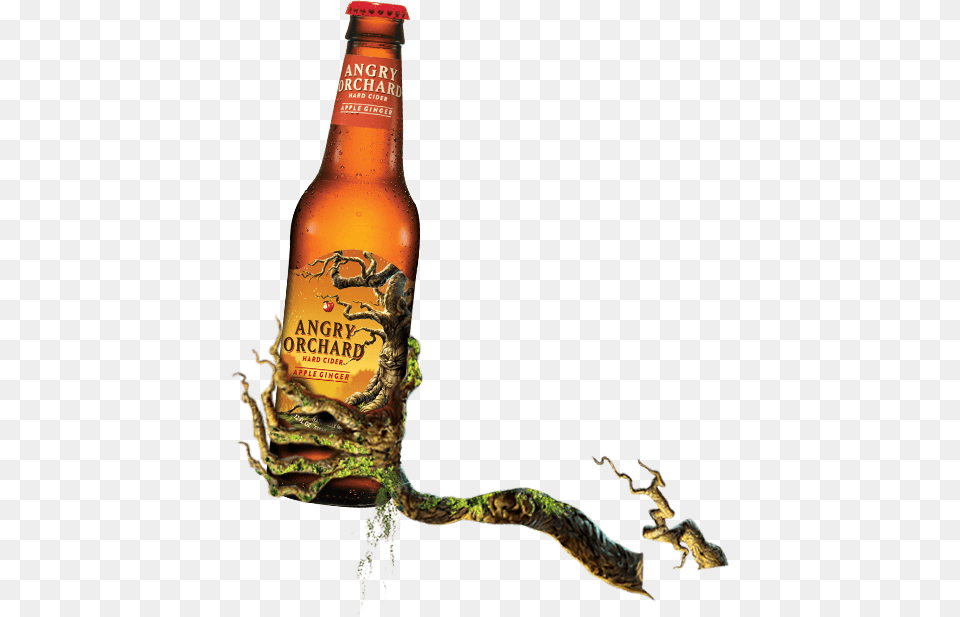 Angry Orchard Apple Ginger Angry Orchard, Alcohol, Beer, Beer Bottle, Beverage Png Image