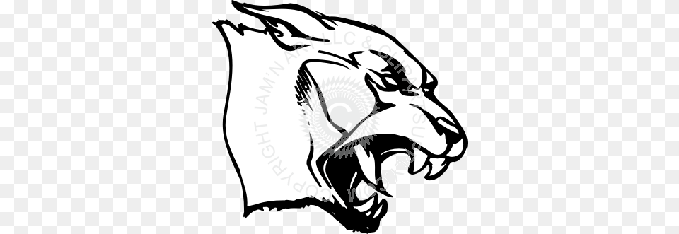 Angry Panther Head, Electronics, Hardware, Adult, Female Png