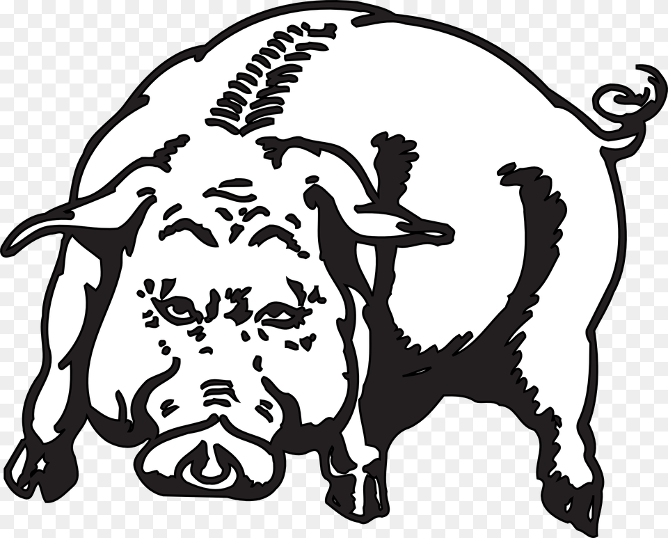 Angry Pig Animal Hog Piggy Mammal Hog Graphics, Stencil, Baby, Boar, Person Png