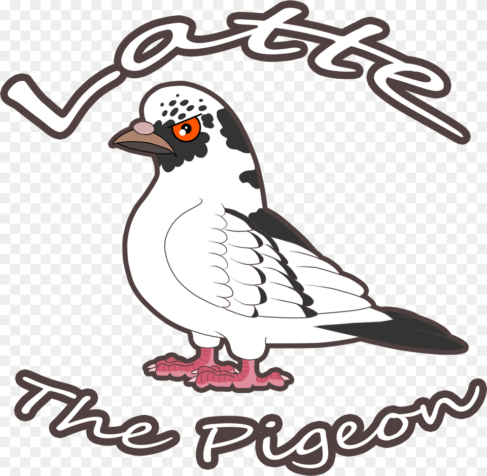Angry Pigeon Cartoon, Animal, Bird, Beak Png