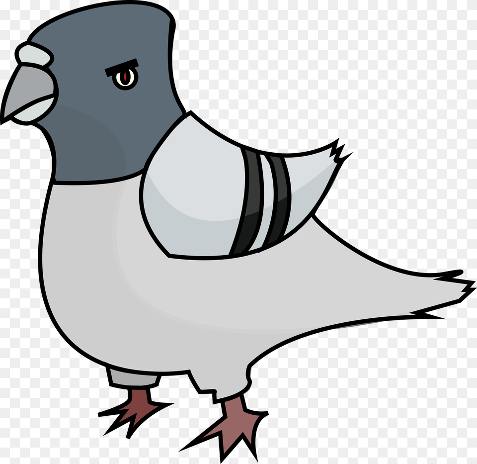 Angry Pigeon Clipart, Animal, Bird, Beak, Fish Png Image