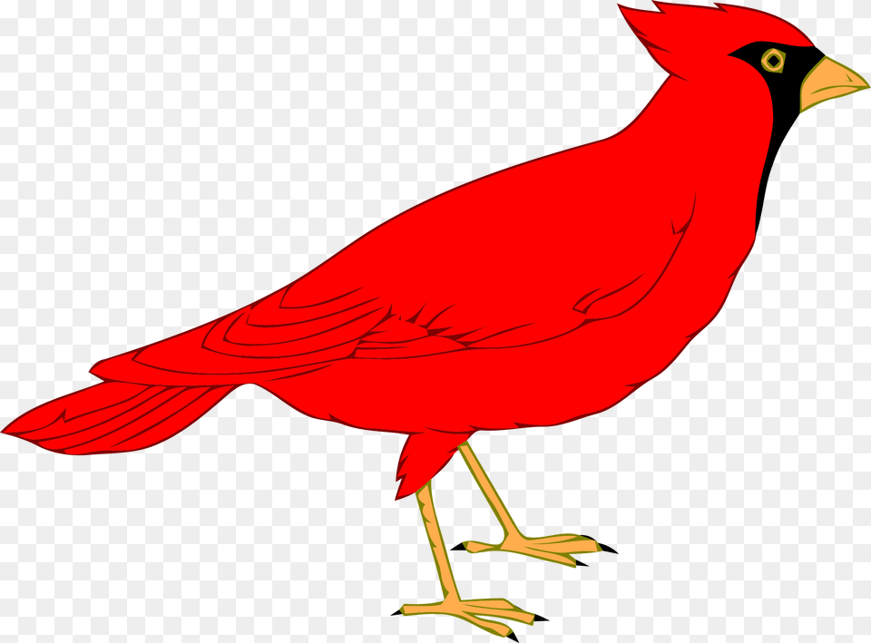 Angry Red Bird Clipart, Animal, Cardinal Png