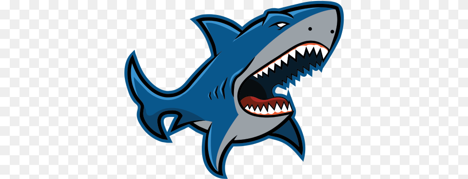 Angry Shark Great White Shark, Animal, Fish, Sea Life, Person Png Image