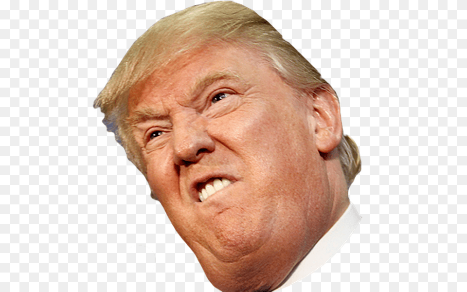 Angry Side Face Trump Donald Trump Face, Adult, Photography, Person, Man Png
