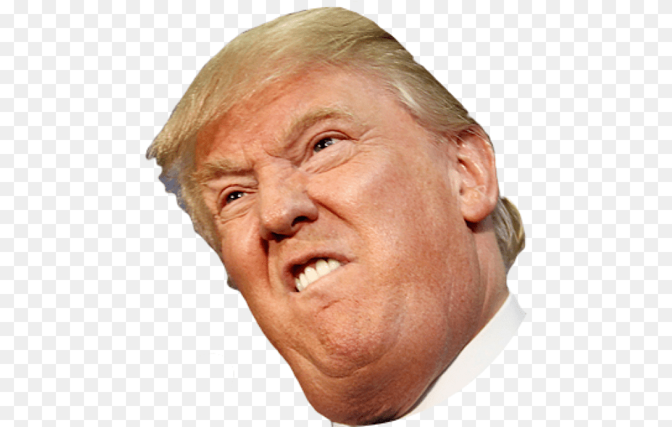 Angry Side Face Trump Donald Trump Face, Adult, Photography, Person, Man Free Png Download