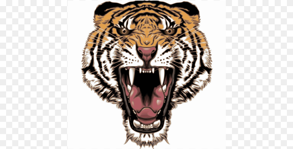 Angry Tiger Face, Animal, Mammal, Wildlife Png Image