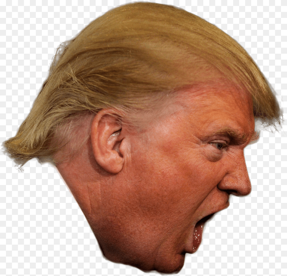 Angry Trump Head Transparent Trump Head, Adult, Person, Female, Face Png