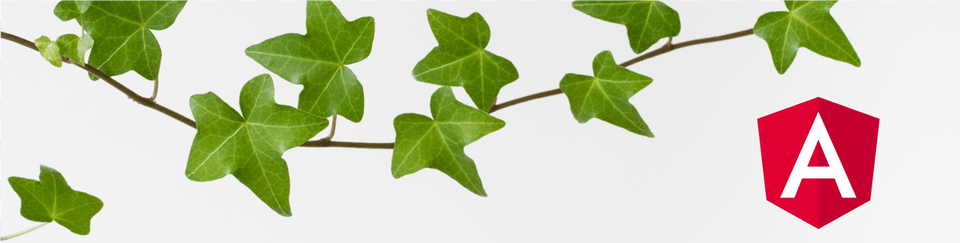 Angular Ivy Ivy, Leaf, Plant Free Png