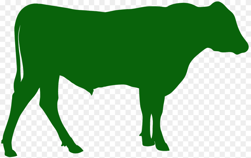 Angus Bull Silhouette, Animal, Mammal, Cattle, Livestock Png Image