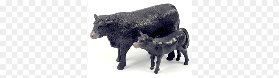 Angus Cow Amp Calf Cattle, Animal, Bull, Mammal, Livestock Png