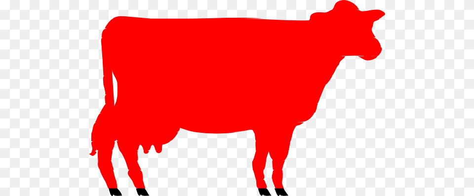 Angus Cow Clipart, Livestock, Animal, Cattle, Mammal Png