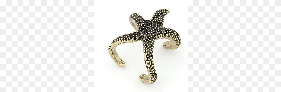 Anillo Estrella De Mar Sea Alloy Luxury Cute Gift Women Jewelry Brown Starfish, Cuff, Animal, Sea Life, Reptile Free Png