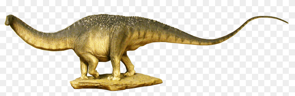 Anim Dinosaur Hd Photo Reptil Velociraptor, Animal, Reptile, T-rex Png