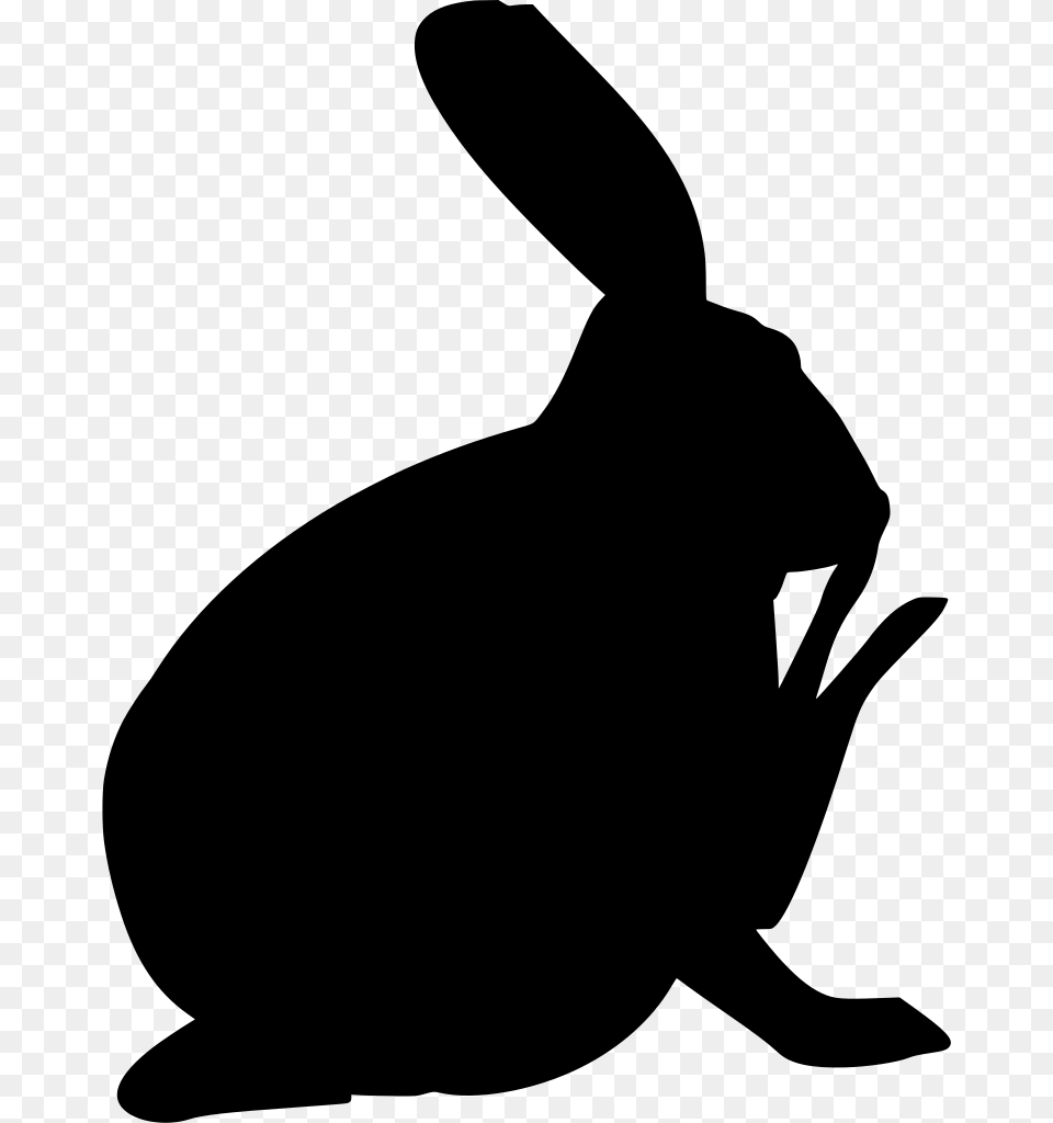 Animal, Gray Free Transparent Png