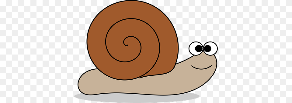 Animal Invertebrate, Snail Png