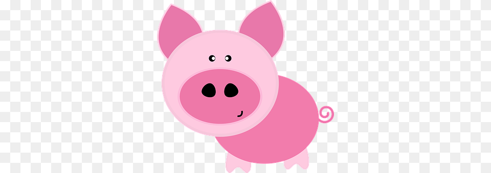 Animal Mammal, Pig, Piggy Bank Png Image
