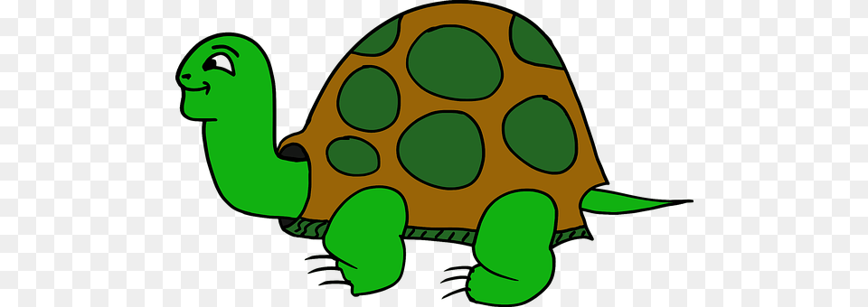 Animal Reptile, Sea Life, Tortoise, Turtle Free Transparent Png