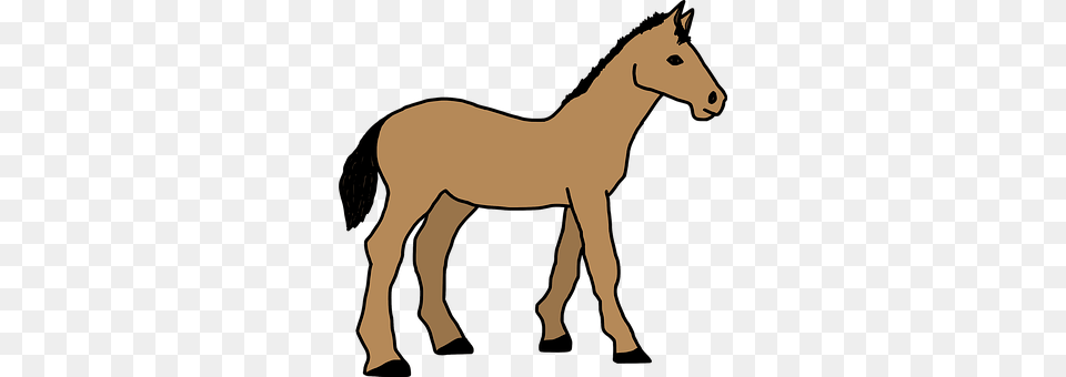 Animal Colt Horse, Horse, Mammal, Foal Free Png Download