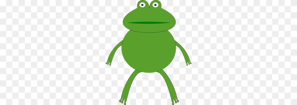 Animal Green, Person, Amphibian, Frog Free Png Download