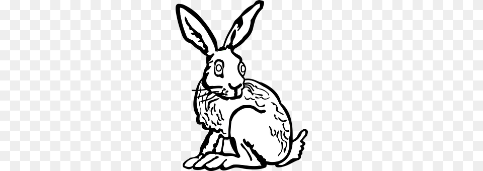 Animal Hare, Mammal, Rodent, Stencil Png