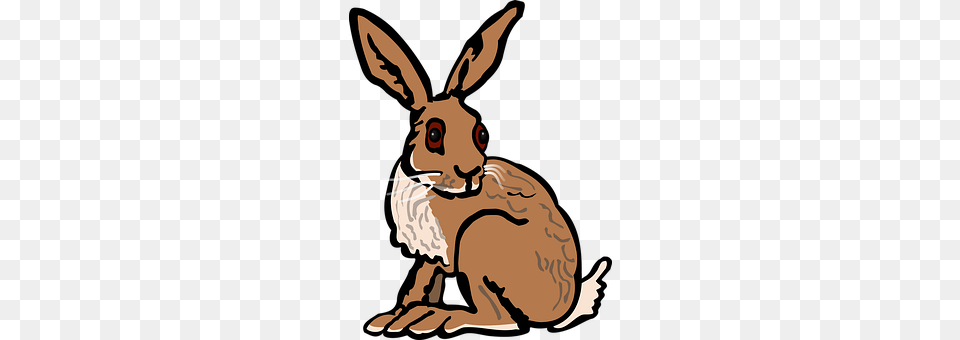 Animal Hare, Mammal, Rodent, Face Png